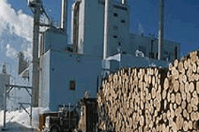 1991-2006. Итоги. <br>Лесная и деревообрабатывающая отрасли