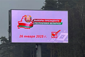 На «выборах» у Лукашенко будет четыре спарринг-партнера. Кто они?