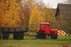Чалый: «Представляю себе эту «игру в бутылочку»: на кого покажет палец прокурора случайным образом — тех и сажаем в тюрьму»