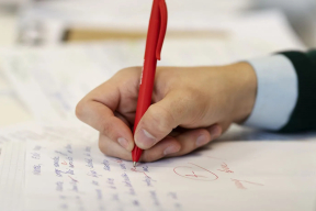 «Вольфович с Тертелем методички не согласовали?»